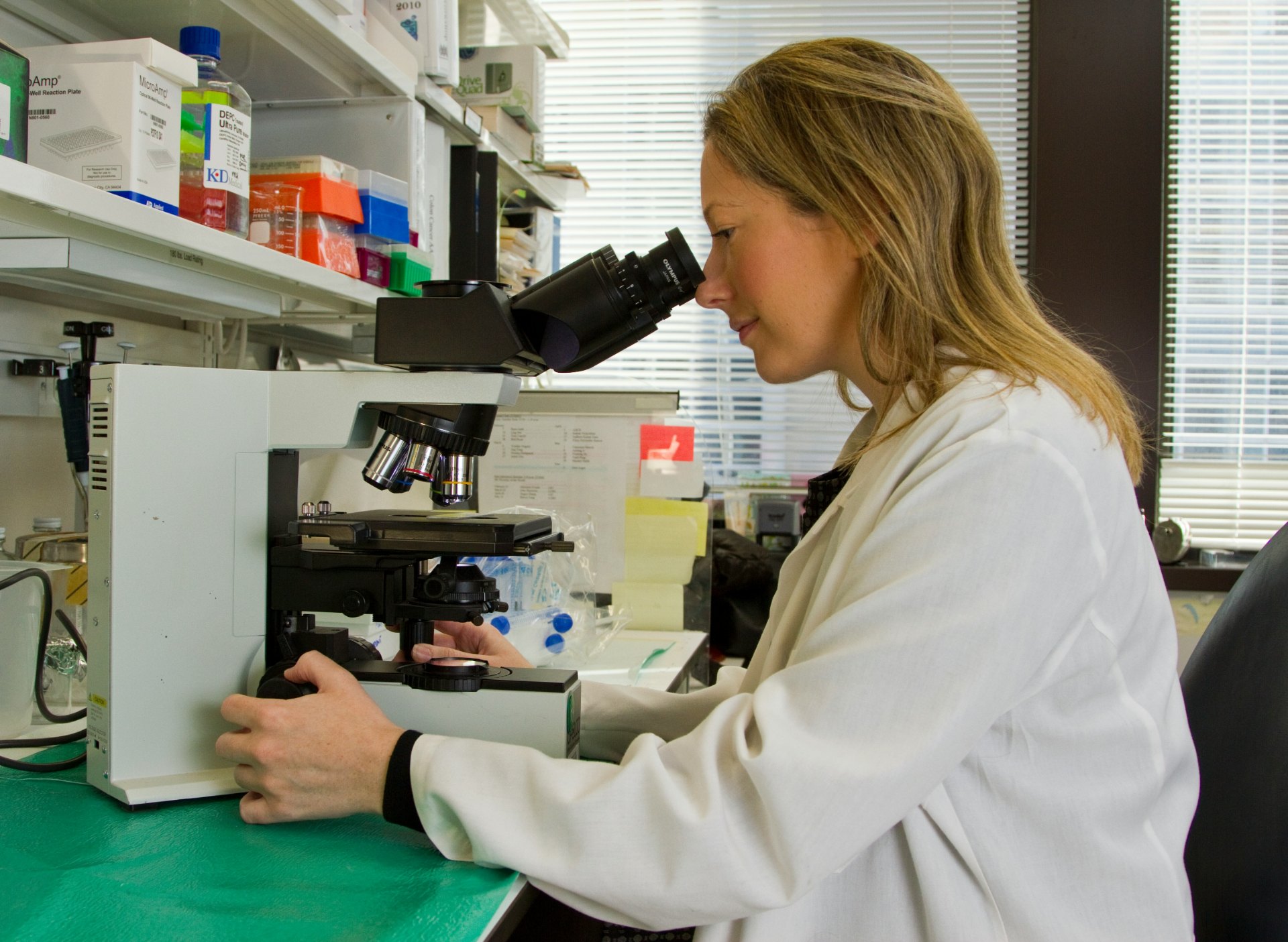 Scientist using a microscope for regulatory research and analysis